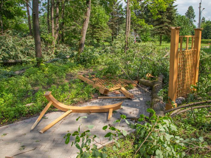 Небезразличные великолучане помогают убрать город после урагана (ФОТО)