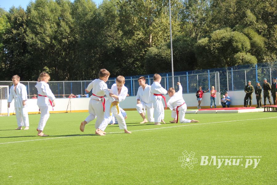 Большой спортивный праздник в Великих Луках (ФОТО)