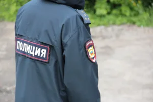 © ВЛуки.ру