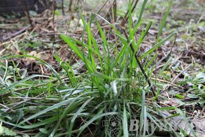 Этот странный январь