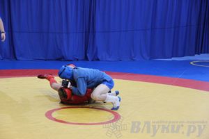 Первенство Псковской области по самбо