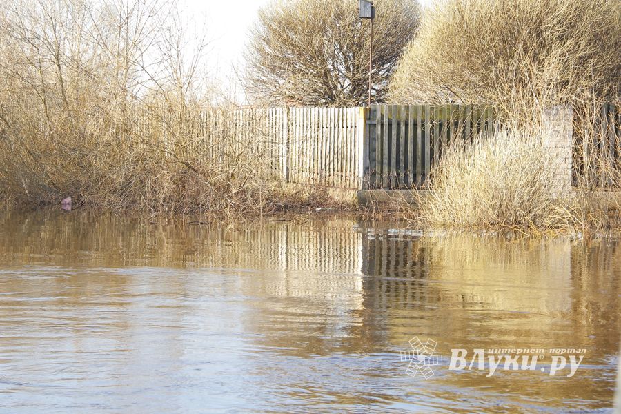 В Великих Луках продолжаются поиски мужчины, пропавшего 9 марта (ФОТО)