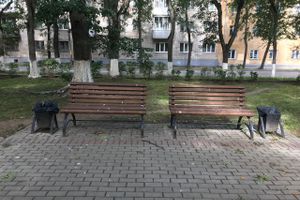 Парк Пушкина: «... А вкруг меня глухое запустенье...» (ФОТО)