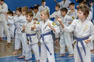 В ВеликихЛуках прошел учебно-методический семинар по каратэ и кобудо школы Дзюшин-рю кэмпо каратэ (фото)