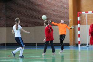 В Великих Луках прошел областной этап по мини-футболу среди девочек (фото)