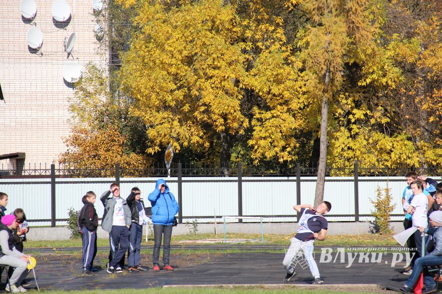 «Шиповка юных» среди великолукских школьников (фото)