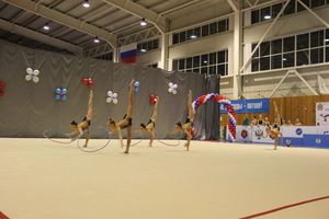 В Великих Луках проходит Кубок Псковской области по художественной гимнастике (ФОТО) (0+)