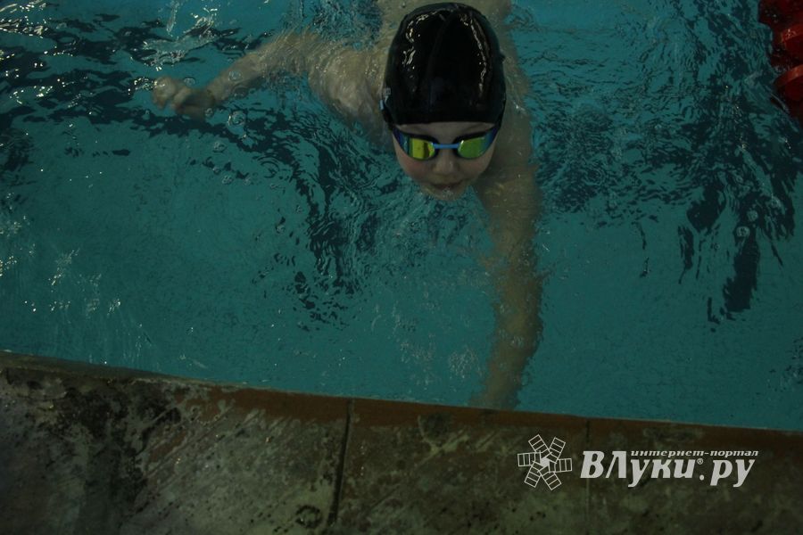 В Великих Луках прошел Чемпионат и Кубок города по плаванию (фото)