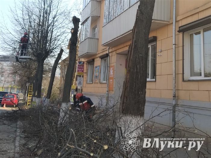 На Пионерской пилят деревья (ФОТО)