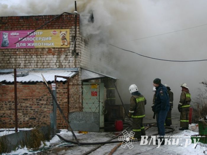 Неисправная печь в приюте для животных спровоцировала пожар