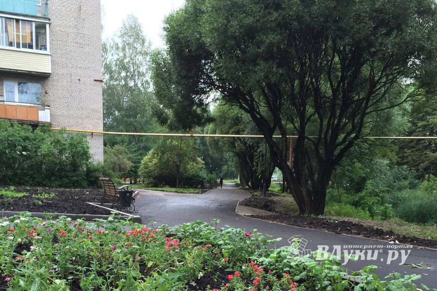 Сквер у автовокзала в Великих Луках обновился (ФОТО)