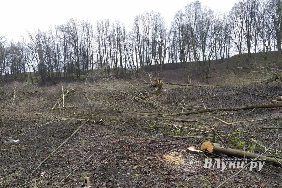 В Великих Луках приступили к строительству парка «Петровский» (ФОТО)