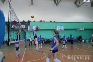 В Великих Луках прошли международные соревнования по волейболу (фото)