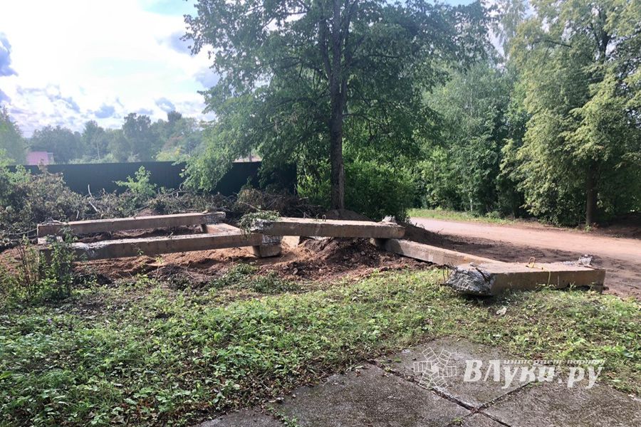 Встревоженных дачников Пореченской волости успокоили (ФОТО)