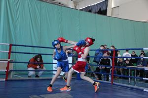 Фестиваль боевых искусств прошел в Великих Луках (ФОТО)