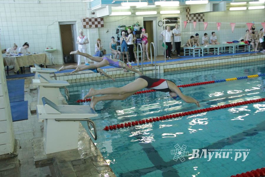 В Великих Луках прошел Чемпионат и Кубок города по плаванию (фото)