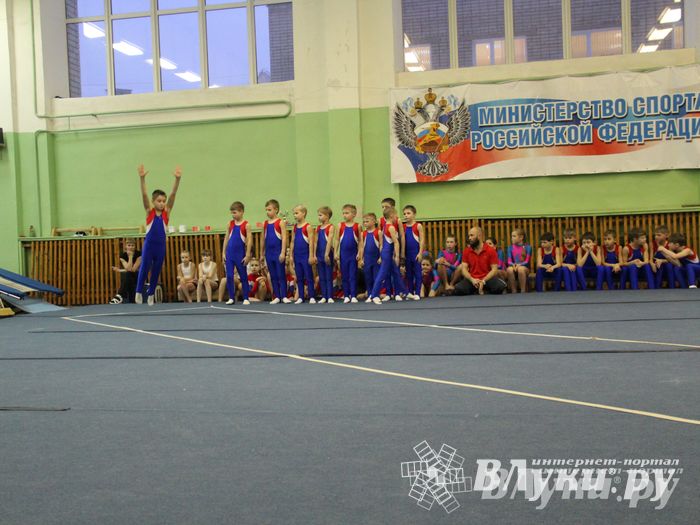 В Великих Луках состоялось Первенство по командной гимнастике (фото)