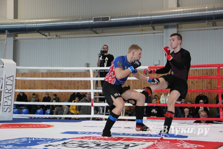 Открытый кубок по смешанному боевому единоборству ММА прошел в Великих Луках (ФОТО)