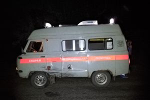 В Великолукском районе лось спровоцировал ДТП (ФОТО)