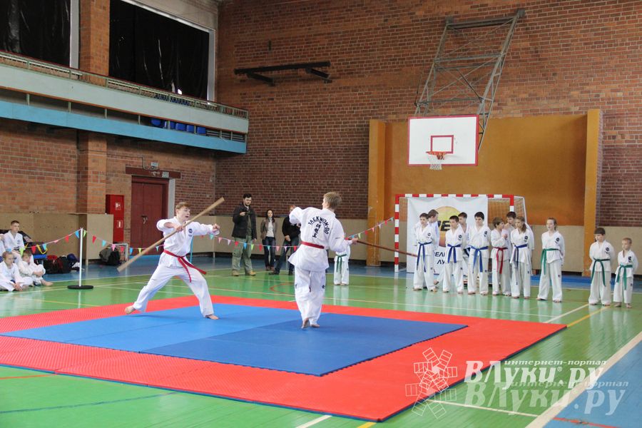 В Великих Луках прошло Первенство по тхэквондо (фото)