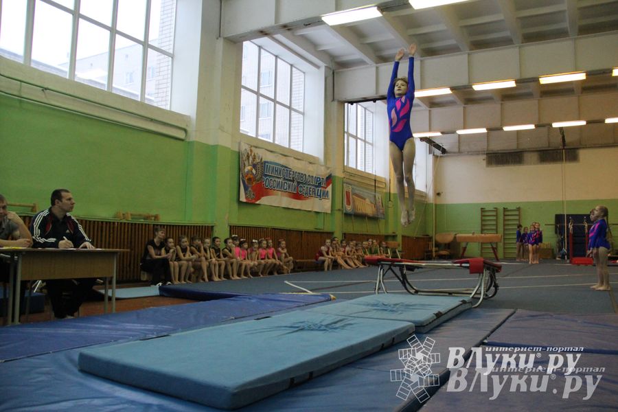 В Великих Луках состоялось Первенство по командной гимнастике (фото)