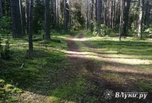 Рослесхоз высоко оценил готовность Псковской области к пожароопасному сезону