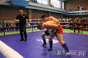 В Великих Луках прошел межрегиональный Открытый Кубок по смешанному боевому единоборству (фото)