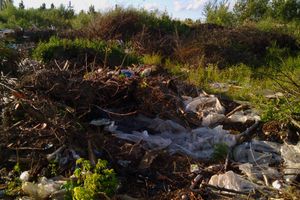 В Великих Луках, на берегу Лазавицы, сваливают кресты, венки и мебель (ФОТО)