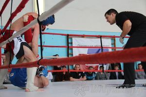 Чемпионат Псковской области по ММА