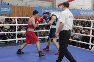 Матчевая встреча по боксу Великие Луки —Псков — Грозный (ФОТО)