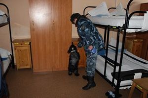 Кинологи провели в профилактический рейд в филиале академии ФСИН (фото)