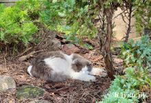 Прогноз погоды в Великих Луках на 28 июля