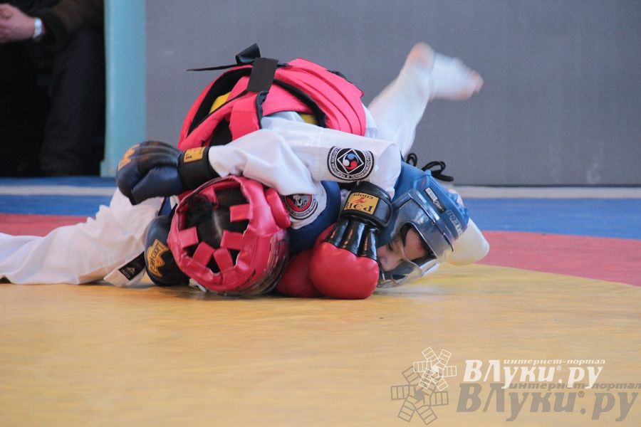 Первый чемпионат и первенство Псковской области по смешанным боевым искусствам «ММА»