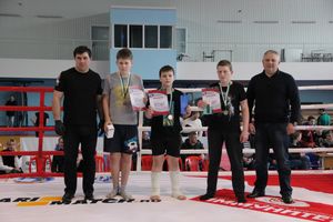 Открытый кубок по смешанному боевому единоборству ММА прошел в Великих Луках (ФОТО)