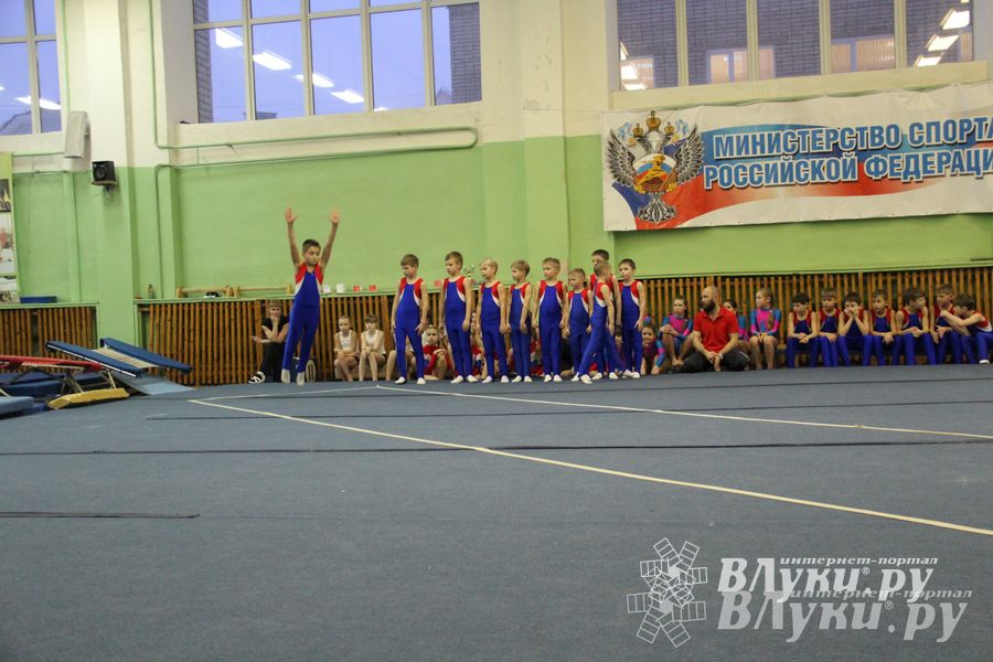 В Великих Луках состоялось Первенство по командной гимнастике (фото)