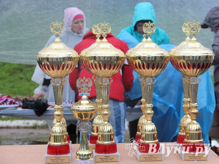 В Великих Луках прошел «Кросс Нации - 2015» (фото)