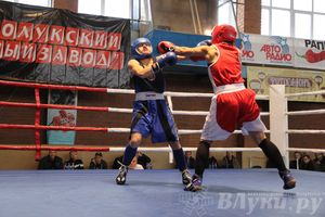 16-й Международный турнир по боксу (фото)