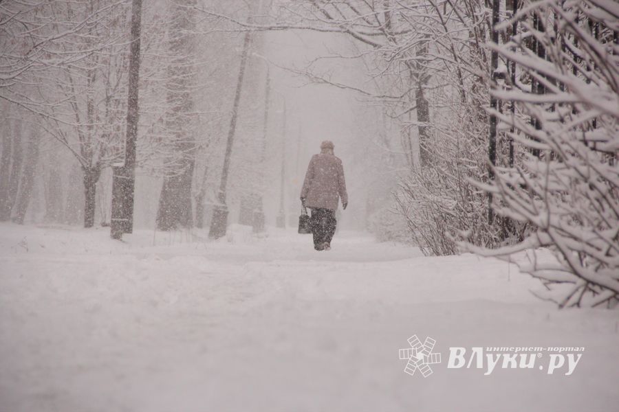 В Великих Луках снегопад и «день жестянщика» (фото)