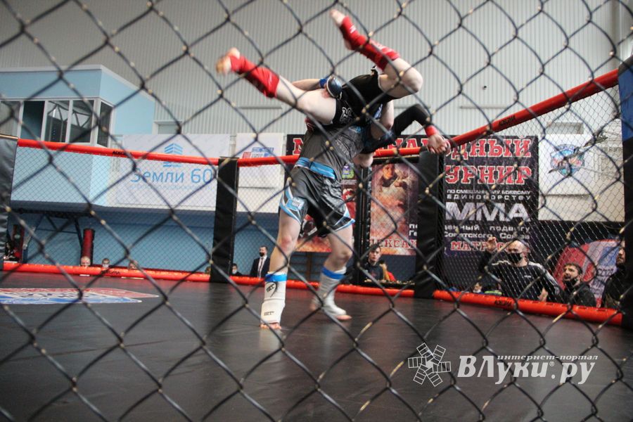 В Великих Луках прошел кубок по смешанному боевому единоборству (ФОТО)