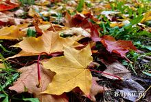 Борьба вихрей привела к аномальному теплу