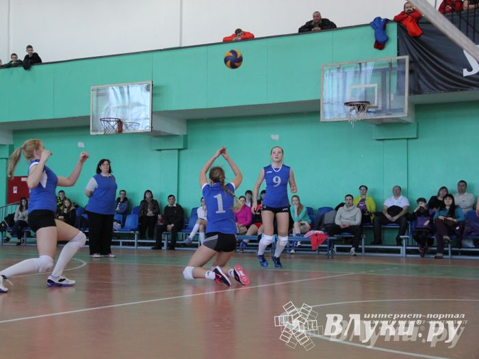 В Великих Луках прошли международные соревнования по волейболу (фото)