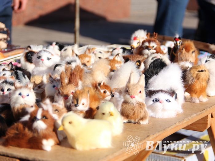 Торговая ярмарка «Осень-2016» прошла в Великих Луках (ФОТО)