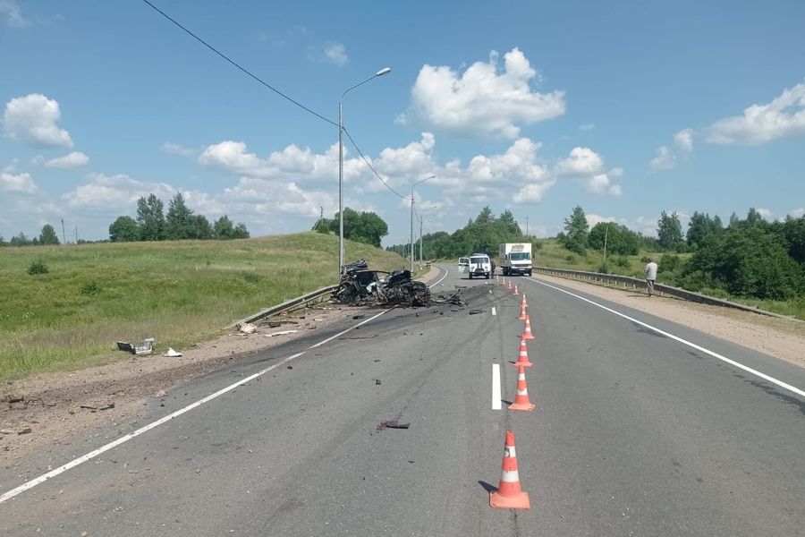 В ДТП в Куньинском районе погиб ребёнок (ФОТО)