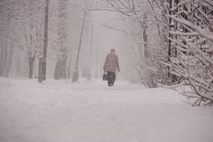 В Великих Луках снегопад и «день жестянщика» (фото)