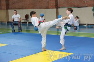 Турнир по каратэ «Неприкосновенный запас — дети Отчизны»