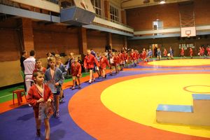 Великолукские самбисты завоевали 11 золотых наград (ФОТО)