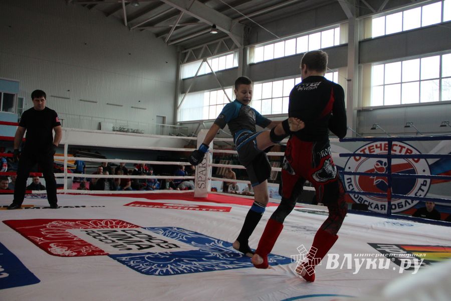 Открытый кубок по смешанному боевому единоборству ММА прошел в Великих Луках (ФОТО)