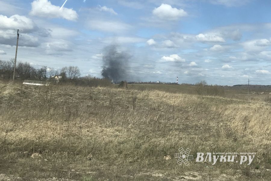 В Псковской области возобновились палы травы (ФОТО)