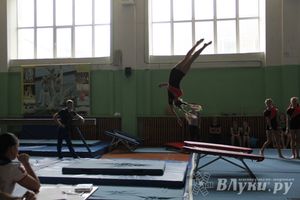В Великих Луках состоялось Первенство по командной гимнастике (фото)