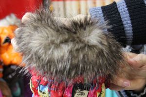 «Zooбастики»: подарите праздник своим любимцам! (ФОТО+ВИДЕО)